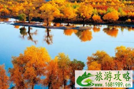 十一月南疆旅游有什么好看的 十一月南疆旅游有什么好看的