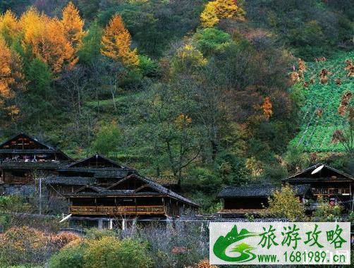 2022宝兴县夹金山要门票吗 夹金山红叶节是什么时候举办 红叶节持续多长时间