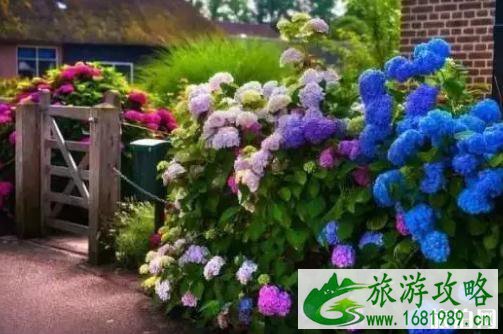 羊角村旅游攻略 羊角村旅游攻略