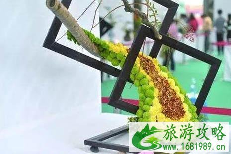 2022南京湖熟菊花展是什么时候 湖熟免费专线怎么坐