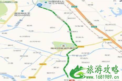 2022南京湖熟菊花展是什么时候 湖熟免费专线怎么坐