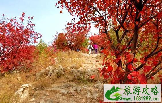 天津到舞彩浅山旅游攻略