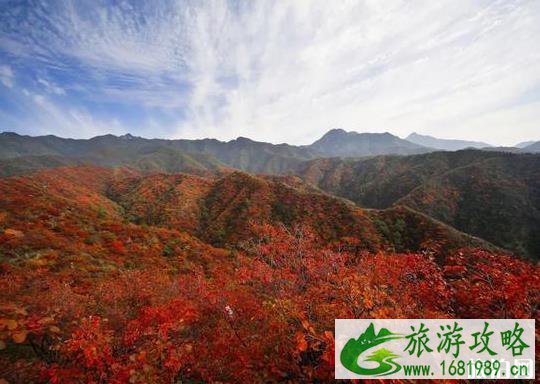 2022王屋山风景区好玩吗 王屋山红叶红了吗