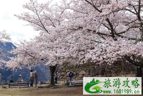 大阪怎么去竹田城 竹田城门票多少+旅游景点介绍