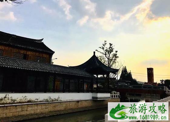 2022唐闸公园菊花展什么时候开始