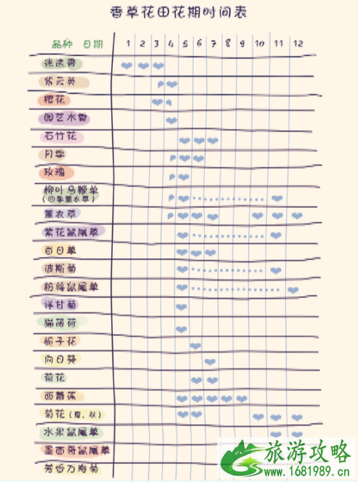 2022蔡甸香草花田门票价格+优惠政策+花期+交通 武汉香草花田哪里住宿