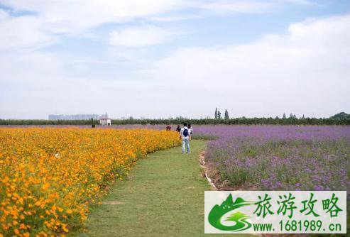 固城湖水慢城好玩吗 固城湖水慢城门票+交通