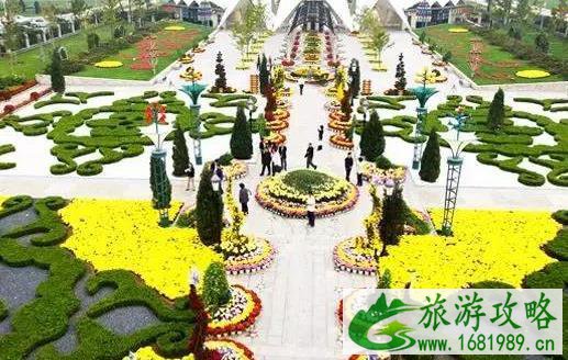 2022北京赏菊花去哪里 国庆北京菊花文化节