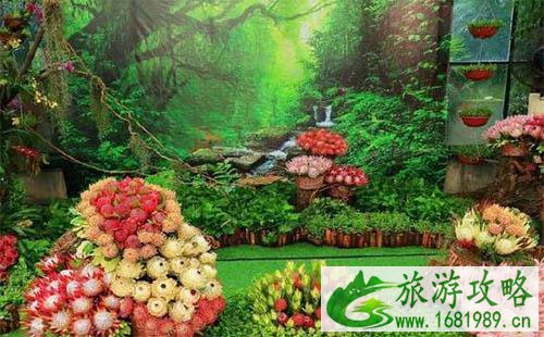 广州华南植物园门票多少钱 植物园南非帝王花艺术展喜迎国庆2022