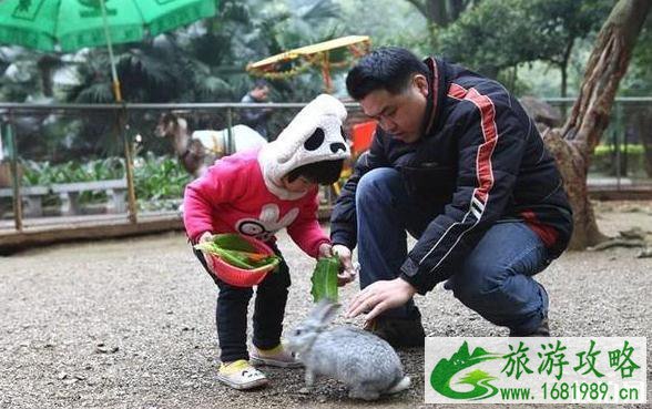 运城菊花文化节在哪里 运城菊花文化节时间+活动介绍