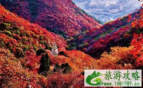 2022光雾山门票价格+优惠政策 光雾山红叶节什么时候开始