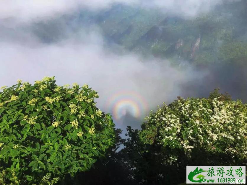 梵净山怎么去 梵净山旅游攻略