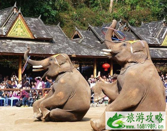 带孩子适合去哪里旅游2022 适合不同年龄段的孩子的旅游地