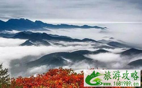 嵩山登山年证办理地点 嵩山登山证办理条件