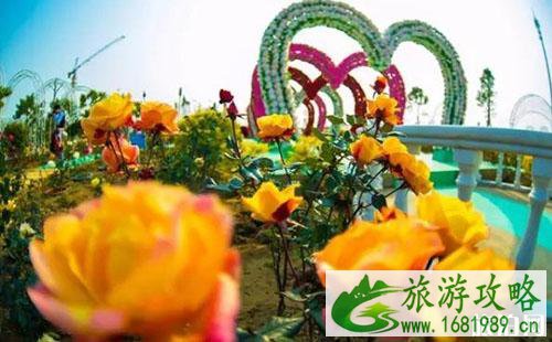 2022教师节广州百万葵园门票优惠活动