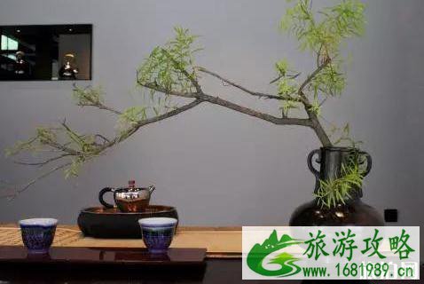 铁像寺水街好玩吗 铁像寺水街游玩介绍 铁像寺水街好玩吗 铁像寺水街游玩介绍