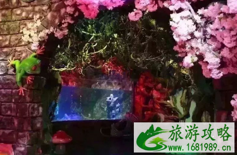 重庆幻太奇海洋馆有什么好玩的 2022重庆幻太奇海洋馆游玩攻略