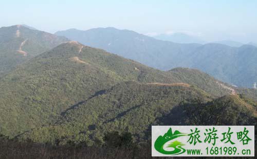 深圳爬山去哪里好+景点介绍