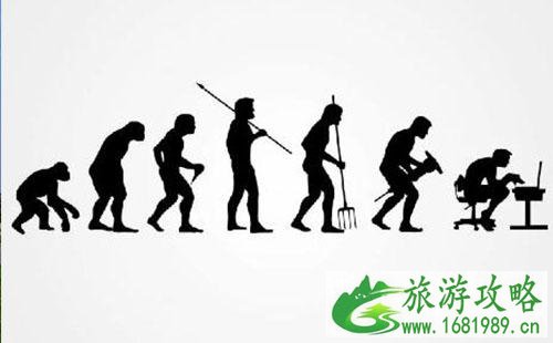 2022重庆奇妙的进化之旅古生物展有什么活动