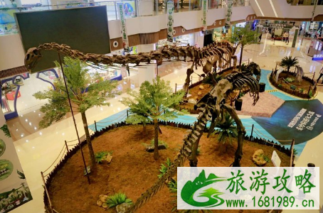 2022重庆奇妙的进化之旅古生物展有什么活动