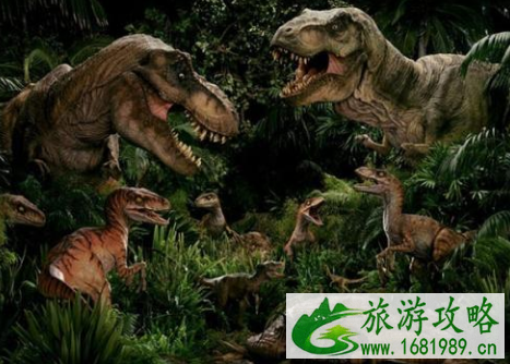 2022重庆奇妙的进化之旅古生物展有什么活动