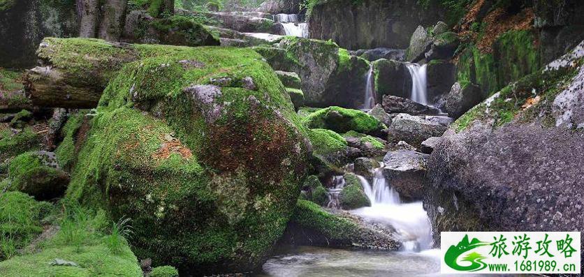 宜昌旅游年卡包含哪些景点2022