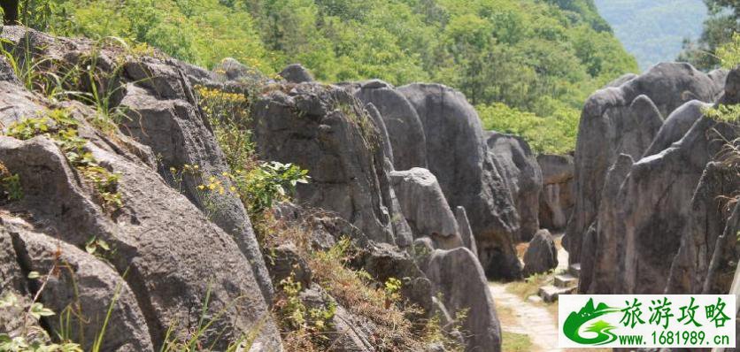 宜昌旅游年卡包含哪些景点2022