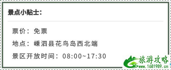 2022花鸟岛交通+食宿+景点 花鸟岛自由行旅游攻略