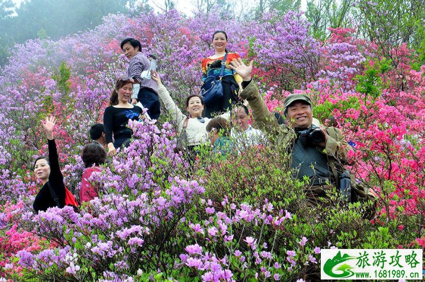 黄冈旅游年卡2022 黄冈旅游一票通景点大全+价格+地址