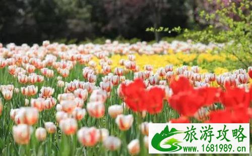 2022年西溪花朝节是什么时候开始