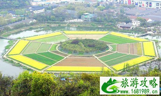 杭州看花的地方有哪些 杭州周边看花海的地方推荐