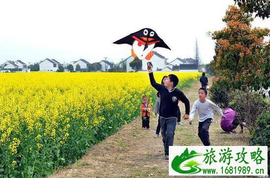 2022同里油菜花节什么时候(时间+地址+交通指南)