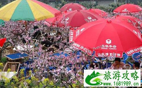 2022简阳桃花节门票价格+时间+地点