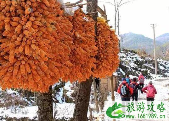 镇安北羊山在哪 一个徒步旅行圣地