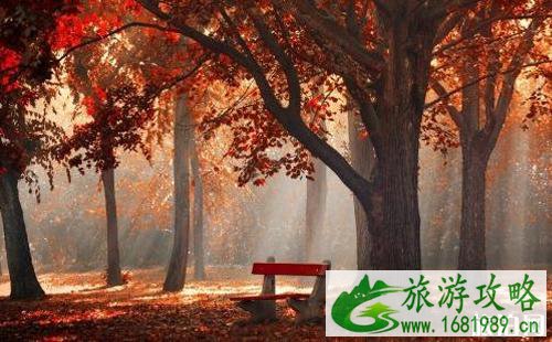 秋天适合去哪里旅游 现在去哪旅游最合适 秋天适合去哪里旅游 现在去哪旅游最合适