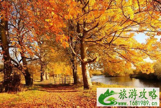 秋天适合去哪里旅游 现在去哪旅游最合适 秋天适合去哪里旅游 现在去哪旅游最合适
