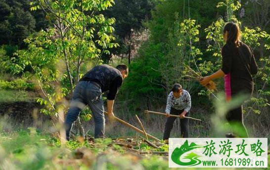 林州水段村在哪里 水段村怎么样