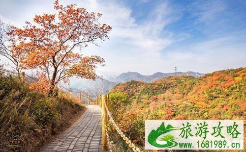 秋天去哪里旅游最好 9月10月适合去哪里旅游