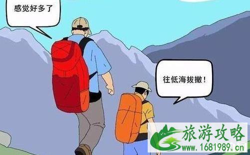 适合中老年人旅游的地方