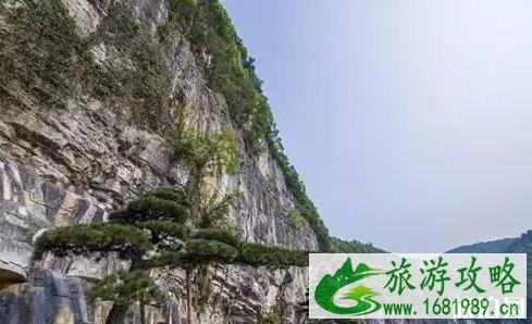 云门囤景区门票多少钱