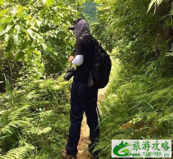 黔东南苗寨游玩线路推荐