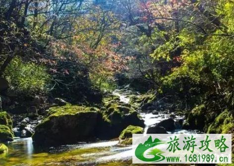 秦岭有哪些免费景点 秦岭免费景点介绍2022