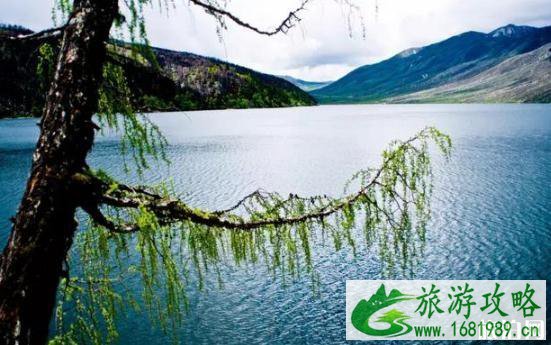 2022瓦屋山开放了吗 四川免费景点最新消息 2022瓦屋山开放了吗 四川免费景点最新消息