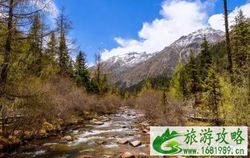 2022瓦屋山开放了吗 四川免费景点最新消息 2022瓦屋山开放了吗 四川免费景点最新消息