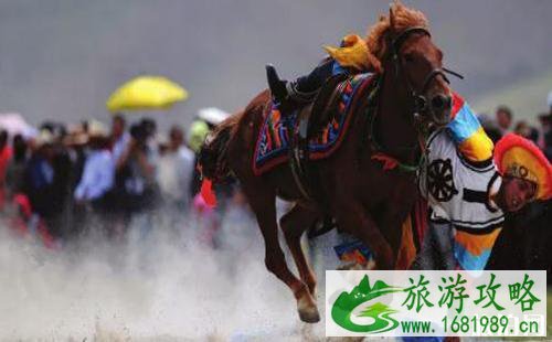 雪顿节是哪个民族的节日 雪顿节是什么时候+活动介绍