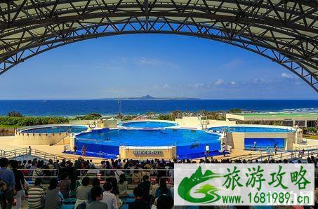 冲绳美丽海水族馆游玩攻略