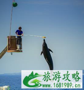 冲绳美丽海水族馆游玩攻略