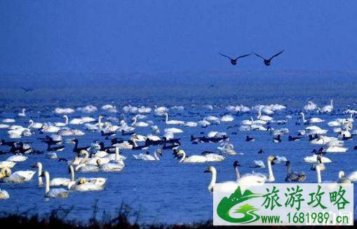 2022鄱阳湖湿地公园门票价格+优惠政策