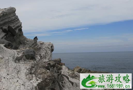 台湾花莲有什么好玩的地方