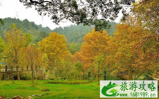 贵阳阿哈湖湿地公园怎么样 阿哈湖湿地公园景点介绍